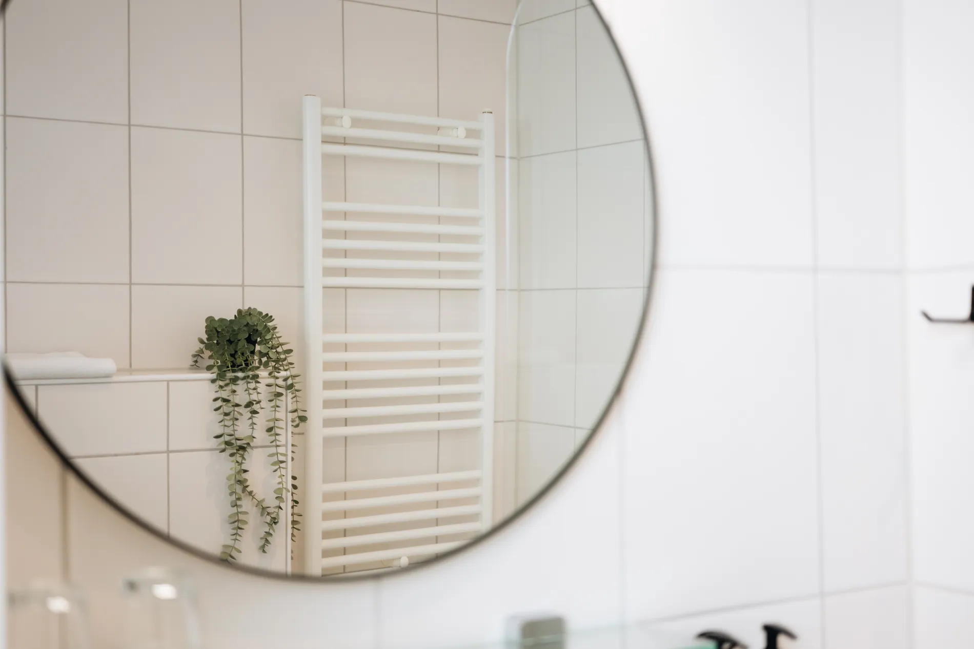 Reflectie in een ronde badkamerspiegel van een witte handdoekradiator en een decoratief hangplantje.